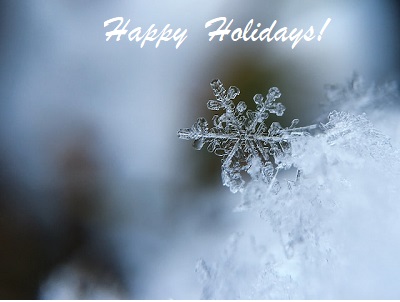 Happy Holidays and Best Wishes for a Prosperous 2024! - Petroleum ...